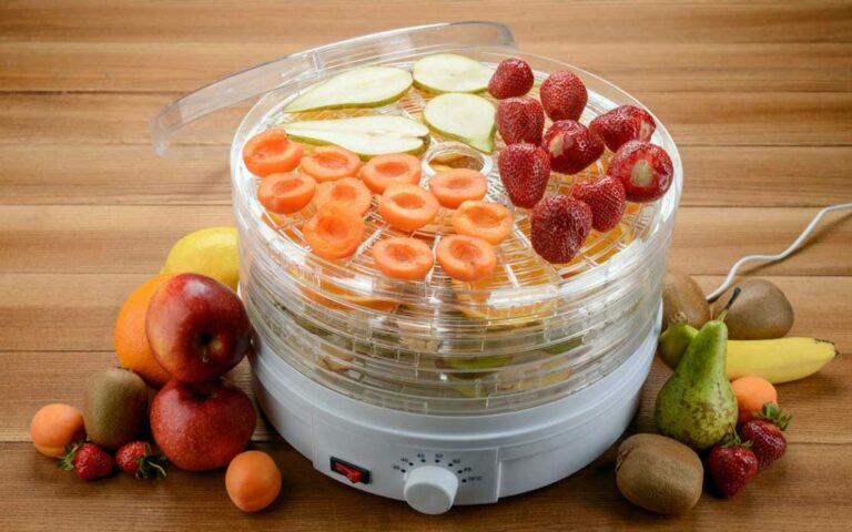 راهنمای خرید میوه خشک کن 12 میوه خشک کن